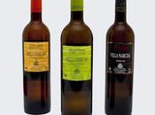 JAVIER SANZ VITICULTOR Rueda)