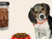 Comentario alimentación cachorro: cómo pasar pienso Carmela