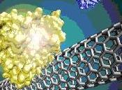 Diagnósticos médicos rápidos gracias nanotubos carbono