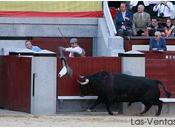 Sobre corrida Bohórquez Ventas