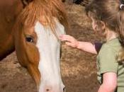 Terapias caballos