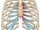 duele pecho algo corazón?