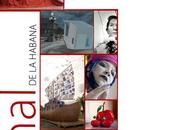 Boletín Ojeada Bienal