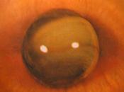 Doggerel written graphene sheet