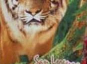 Béisbol: últimos minutos unos Leones contra pared