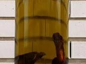 Aceite picante