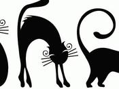 Gatos