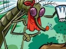 Suspenden clases escuela plaga mosquitos