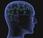 Brain training: cerebro puede entrenar?