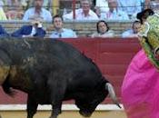 coloquio taurino: debate sobre acontecido feria taurina 2012