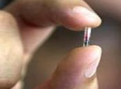 microchip marca bestia
