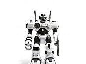 Somos programa, somos robot