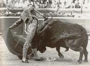 Emilio Muñoz: molesta diga torea mejor nunca”