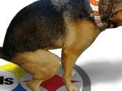 Queja Rumbo deja tirada tierra madre años, queda dinero cobró AUTOMATICAMENTE tarjeta debito. @#¡¡¡ Rumbo...??