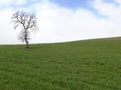 Vuestras consultas: ¿Qué después?