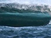 Lanzarote everyday surfers