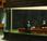 Edward Hopper llega Museo Thyssen-Bornemisza