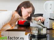 comida equilibrada