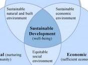 ¿Qué sostenibilidad?