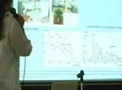 Defendida Tesis Doctoral Arqueometría