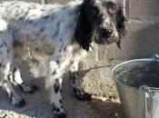 Etna, volcán cariño