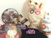 Gatos
