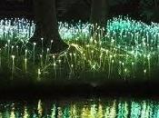 Jardín Flores LED, Bruce Munro