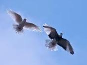 Arriesgar para libres…