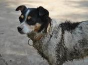 Pequeña superviviente incendio macastre valencia!!!