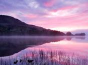 Trossach Loch Lomond, Escocia estado puro