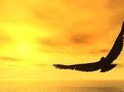 hora…..Anímate volar