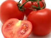 tomate rojo, licopeno verano