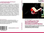 Código procesal constitucional bolivia 2012