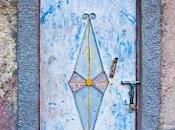 Serán muchas hojas, raíz sola