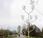 Power Flowers, árbol turbinas eólicas genera energía limpia