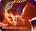 Investigadores americanos crean bebés humanos genéticamente modificados