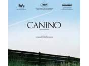 Canino