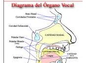 Logopedia