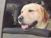 Para consideración...