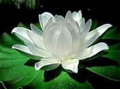 atemporales escritos: