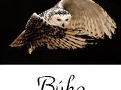 éxito bienestar: Ritmos Circadianos parte)