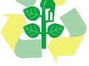 Cuba pone marcha primera planta biodiesel