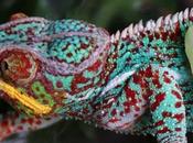 Abraza opciones decides quién eres