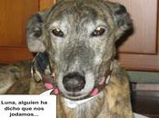 Tertulia entre ellos....