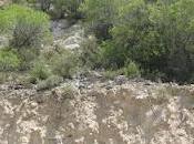 Poema Espiritu (1ra parte)