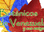 quiero hablarles Blog: Botánica Venezuela