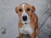 Nadie pregunta LUCHO, inocente viviendo entre rejas.