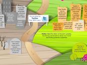 ¿Cómo sigues campañas redes sociales?