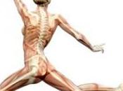 vitamina calcio podrían ayudar extender vida