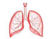 Remedios Para Pulmones